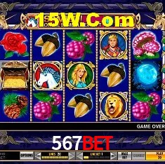 Experiência VIP 567Bet